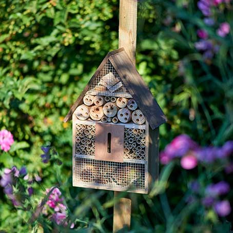 Guide: Attract Insects to Your Garden with Insect Hotels and Plants