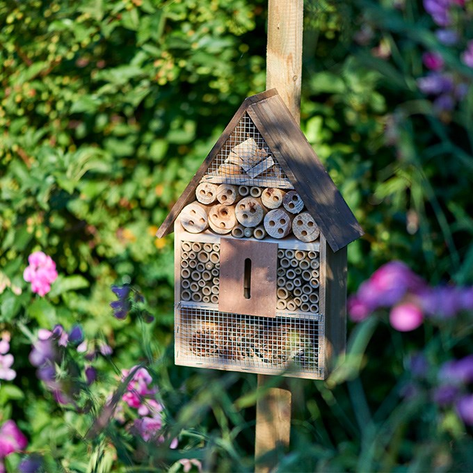 Create a garden for bees and benefit your own harvest