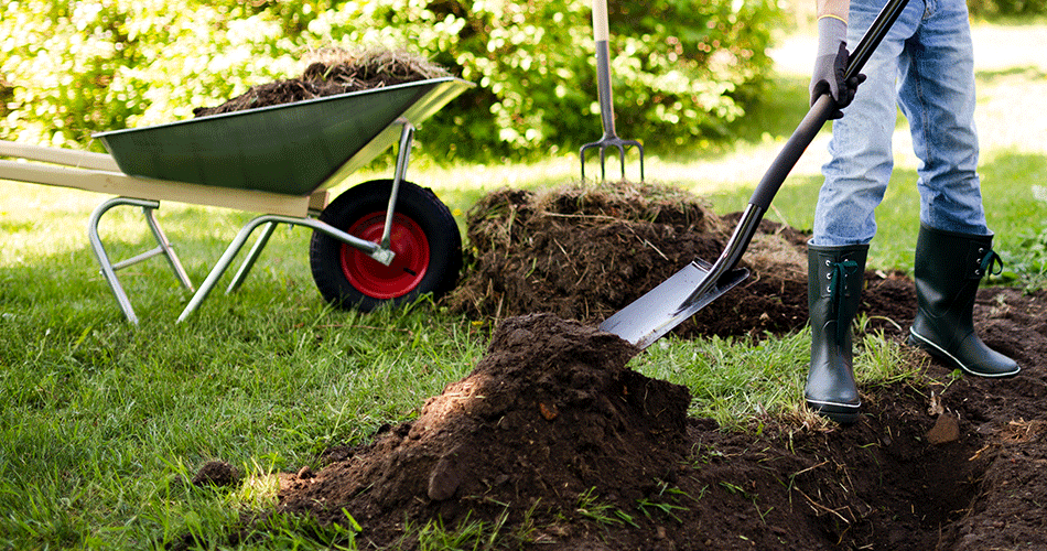 Person i gummistøvler graver havejord med en skovl, mens en trillebør fyldt med jord står i baggrunden på en græsplæne.