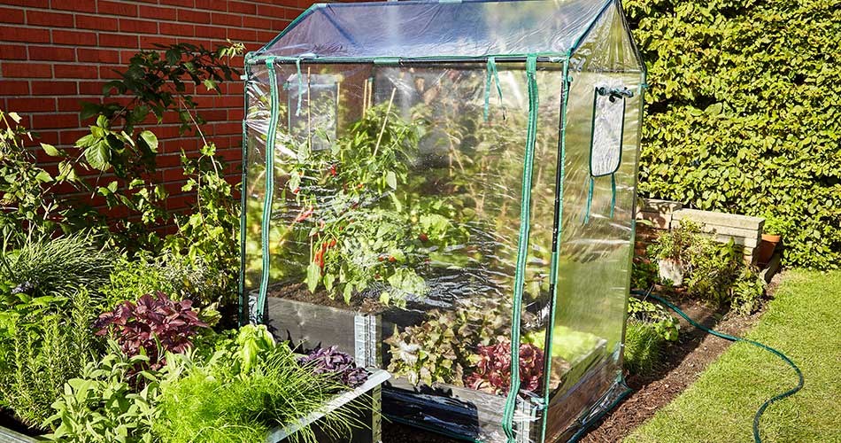 A small greenhouse made of clear plastic and metal frames stands in a green garden surrounded by flowerbeds and shrubs. Inside the greenhouse are lush plants and growing tomato plants.