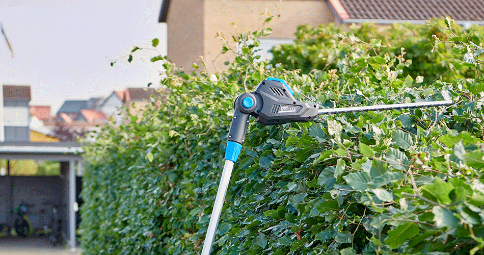 Biltema hedge trimmer in use for trimming dense green hedge in front of residential area.
