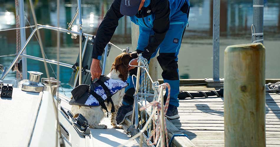 Person helping a harnessed dog on board a sailboat at a jetty.