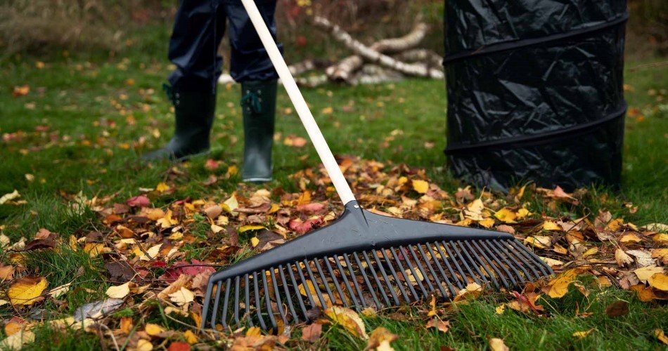 A person wearing green wellies is raking autumn leaves with a plastic rake on a lawn. In the background is a rubbish bag and branches.